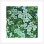 Enerkinetik® Artwork 10 WhiteWall App Product