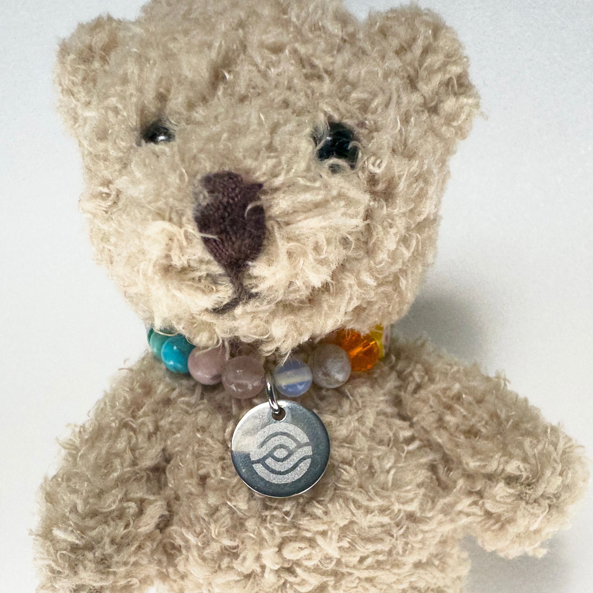 Oso favorito Enerkinetizado®